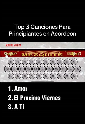 Canciones fáciles en Mezquite🪗 #mezquite #acordeon #tutorial#facil#musica#amor#elproximoviernes
