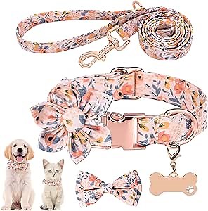 Cute Girl Dog Collar and Leash Set with Flower Bowtie,Adjustable Floral Collar for Female Dog,Metal Buckle,Tag Decor for Small Puppy Medium Large Dogs Cats(M, Orange)