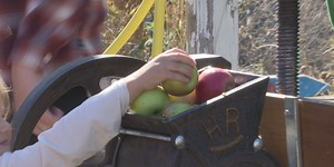 Living Earth Center looks back at 2024 with Fall Farm Fest