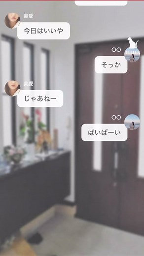 Understanding Japanese Messaging Culture Through Screenshots