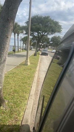 I Found The Most Beautiful Van View