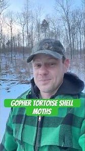 Did you know that there’s a moth that only eats keratin from the shells of gopher tortoises??