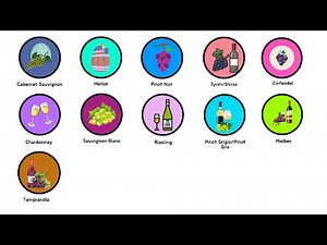 Every Wine Type Explained in 15 minutes