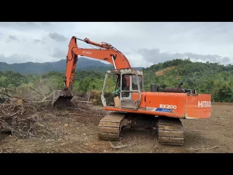 Digging Up Tree Toots Eith an Excavator
