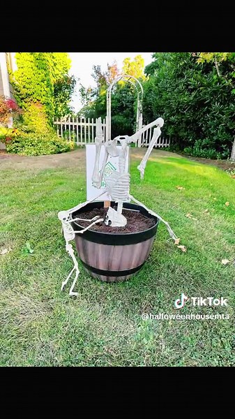 This year we “grew” our 12’ skeletons from “seeds” over a 5 week period 🤣❤️ they were 6”, 16”, 3’, 5’ and finally 12’ this past week! We are so excited for our #halloween2023 display! Woohoo! #halloween #homedepothalloween #12footskeleton #12footskeletonclub #infernoskeleton #skeletons #mtangel #oktoberfest #oktoberfest2023 #mtangeloregon #skellylove #homedepot