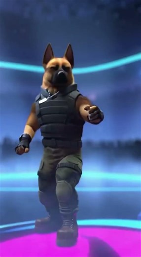 Ninja Cat VS Military Dog FIGHT TO THE DEATH