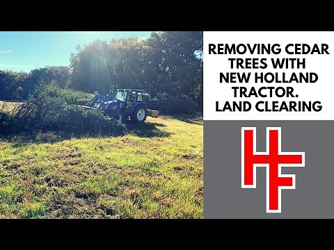 Removing Cedar Trees with New Holland Tractor. Land Clearing