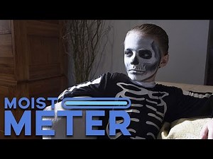 Moist Meter | The Prodigy