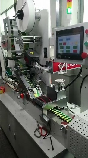 Online Fiber Laser Coding System for Batteries & Packaging