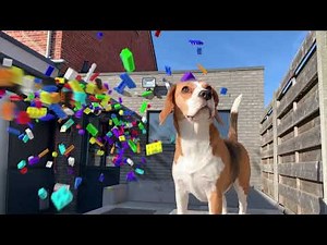 Funny Dogs vs Lego In Real Life Animation Compilation.