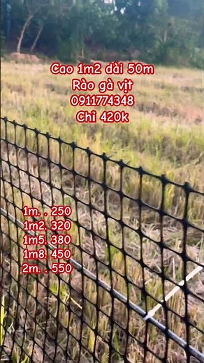 roll of plastic mesh for cost-effective fencing