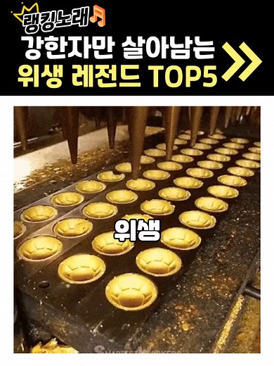 살아남는 위생 랭킹 노래
