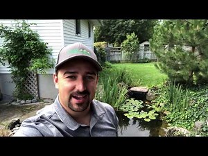 What to do if your pond pump stops working!