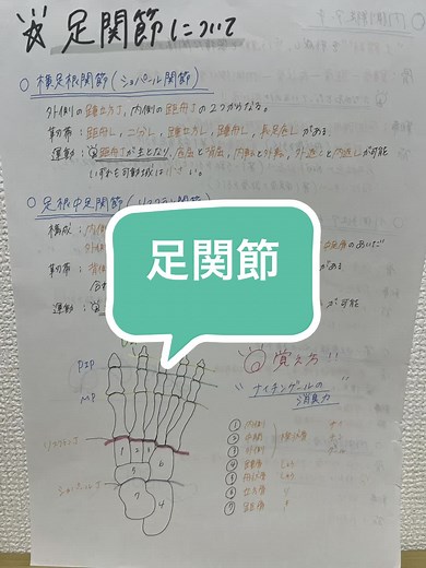 実習行くと結構足関節って大事やなってつくづく思う🙃#勉強ノート#足関節#リスフラン関節 #ショパール関節 #医療学生 #PT学生