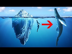 Science - Fun Facts About Icebergs