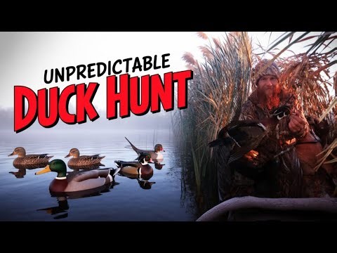 Duck Hunting in MINESOTA Gets Unpredictable!