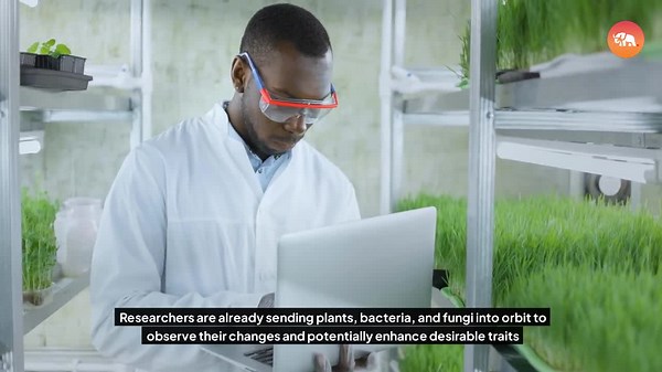 Avian Instinct vs. Alien Terrain—Who Wins? 🧠🛰️🐥