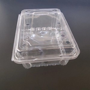 [Hot Item] Clear Plastic Vegetable Tray PP Frozen Food Lunchbox Packaging Fresh Meat Plastic Tray