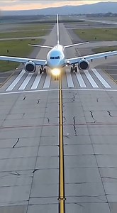 19K views · 16 reactions | 37 SWERVES TO MISS DOG ON RUNWAY IN...