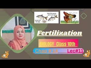 Fertilization |Internal and External Fertilization| Chap # 14 | Biology Class 10 | Lec # 11 (PTB)