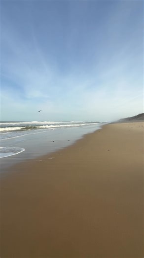 Marconi Beach - Wellfleet, Massachusetts - Cape Cod - October 2025 | Cape Cod, Massachusetts