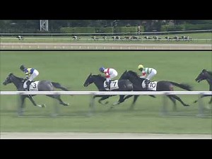 2019 Tokyo Yushun(Japanese Derby) (G1)