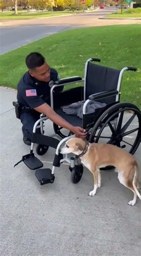 Police Officer Rescue A Heartbreaking Story with a Happy Ending 🐕✨ #cops #rescue
