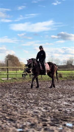 𝑩𝒐𝒏𝒏𝒊𝒆💘 Vandaag weer gereden wat echt best wel fijn en rustig ging! Ik heb namelijk heel erg met haar dat ze rennerig is nou was dat eerst niet echt een probleem maar nu word ze sterk en negeert al mijn ophoudingen waardoor het gwn echt niet fijn meer is voor beide want zo moet ik de hele tijd gaan trekken en dat wil ik juist voorkomen. Dus had ik er vandaag een ander bitje ingedaan waar ze echt veel fijner mee liep ze reageerde op m’n ophoudingen en was veel ontspannender dus nu is ze oo