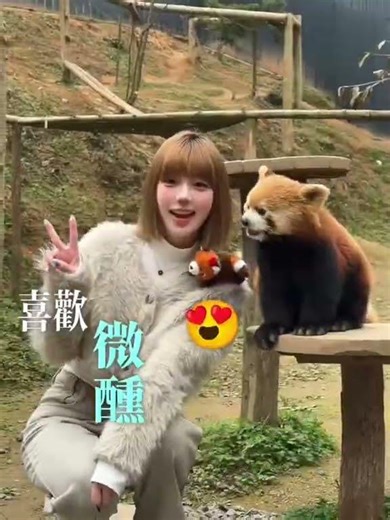 Crafting Your Story: How to Write About Yourself Like a Pro