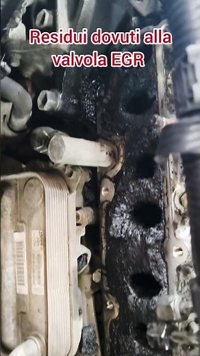 Problemi EGR Toyota