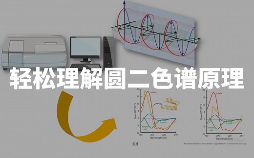 【圆二色谱原理】最简单易懂—— CD spectroscopy