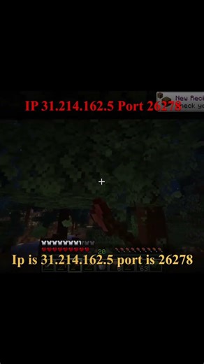 Expanding World Border Survival Java And Bedrock! #bedrock #minecraft #minecraftjava