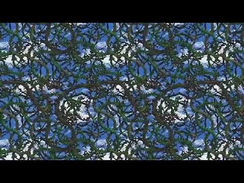 The Internet Checkpoint