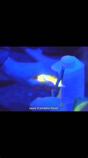 Alien Theory on Instagram: "John Rosengrant talks about Stan Winston Studios’ methods in creating Predator Blood"