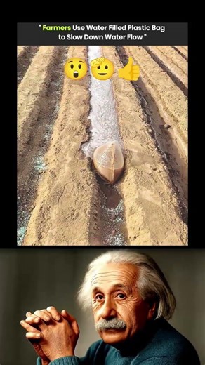 SIGMA Physics Teacher 🔥 Mind Blowing Science Projects | Rixtor Einstein #Physics #Phonk #Shorts