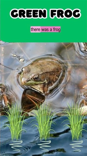 Cute Green Frogs so close #Shorts