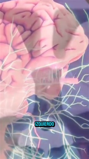 Claro, aquí tienes una explicación completa y detallada sobre la hemiparesia, incluyendo definición, tipos, causas, síntomas, diagnóstico, tratamiento y pronóstico: ¿Qué es la hemiparesia? La hemiparesia es una debilidad parcial o disminución de la fuerza muscular en un lado del cuerpo (derecho o izquierdo). A diferencia de la hemiplejia, donde hay parálisis total, en la hemiparesia los músculos aún tienen cierta función, pero están debilitados. Tipos de hemiparesia Hemiparesia derecha: debilida