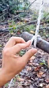 16K views · 203 reactions | Master Knots for Everyday Use | life Hacks use full | . . . . . #lifehack #useful #tricks #tips #work #home #masters #Wow #fb #viralreelsシ #trendingvideos #viralpost #newpost | Reel Videos | Facebook