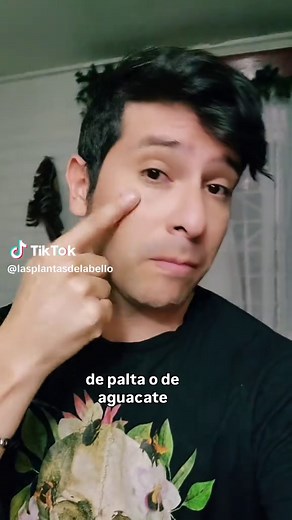 Cómo germinar semilla de palta en casa
