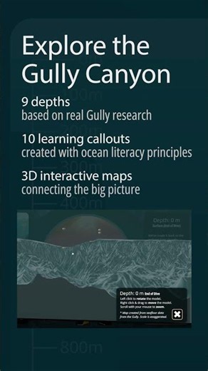 Gully Deep Dive | Ocean Week