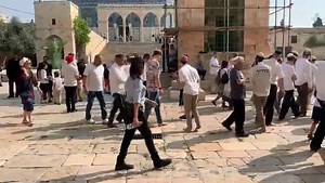 5.2K views · 524 reactions | TODAY: 1170 JEWS ASCEND TEMPLE MOUNT IN PURITY 1170 Jews ascended the Temple Mount today in purity, (in accordance with halacha). A total of 2835 Jews have ascended the Mount since the beginning of Sukkot on Sunday evening. The people of Israel are returning to the place of the Holy Temple! | The Temple Institute | Facebook