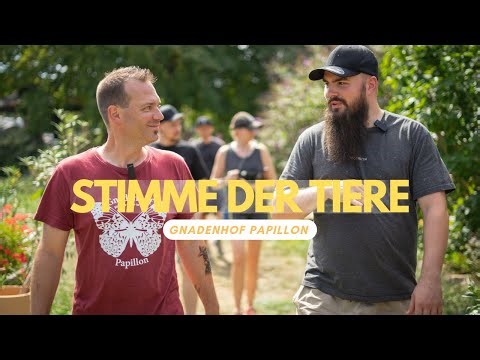 STIMME DER TIERE #01 - Gnadenhof Papillon