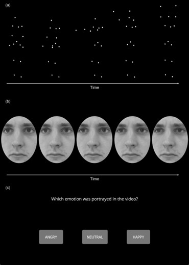 EmBody/EmFace as a new open tool to assess emotion recognition from body and face expressions - Scientific Reports