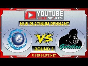 🔴 LIVE: Cabramatta Bullants vs Warilla Gorillas - NSW Platinum Pennant Round 3