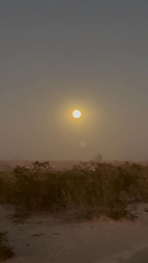 The harvest moon, bad to the bone | David Barron