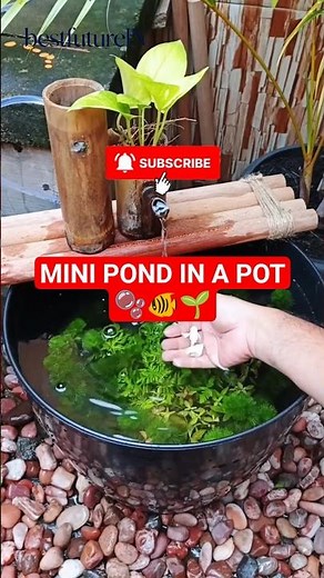 Mini Pond Build At Home (you don't realize) 🔴 #lifehacks #aquascape #usashorts #aquarium #fishtank
