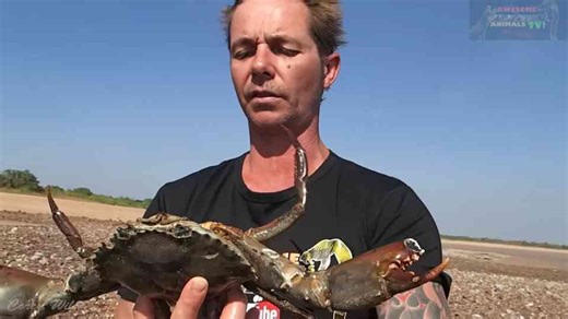 Survival skills | How to catch crabs