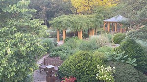 Another lovely morning before Prayer at Little Portion Hermitage | John Michael Talbot