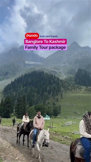 Banglore To kashmir Family Tour package |Top local Travel Agency Srinagar kashmir - Panda Travels