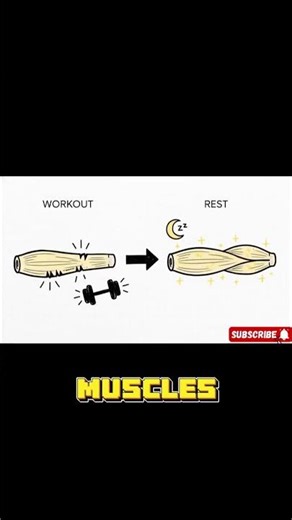 #Shorts STOP GUESSING ❌ THIS Workout Split BUILDS MUSCLE FAST 💥